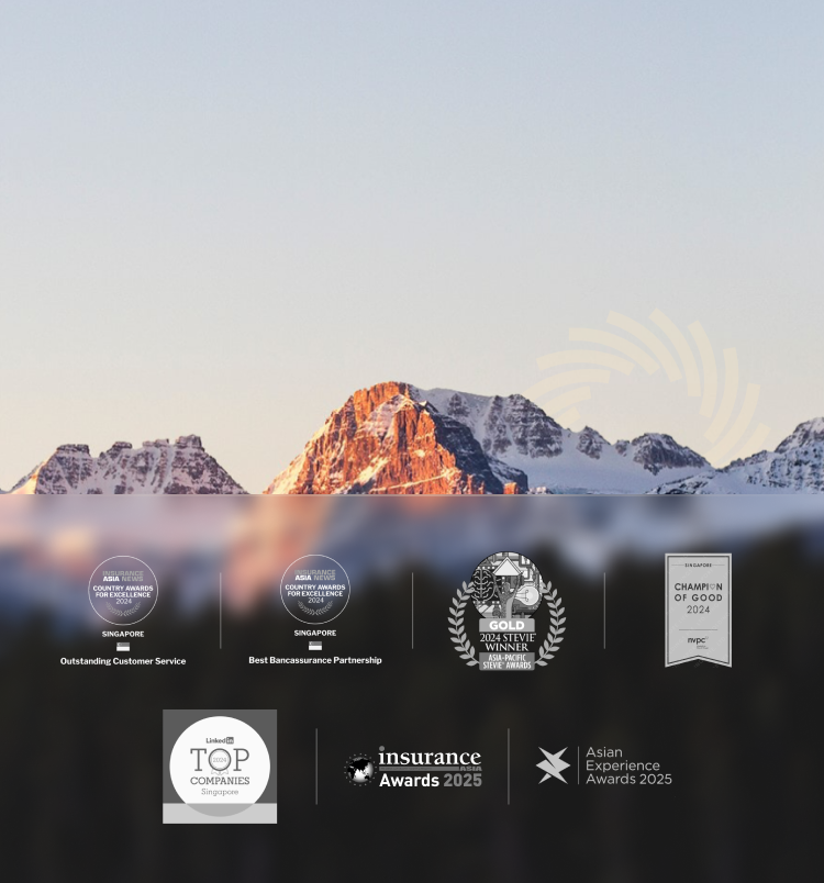 Pinnacle Banner