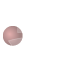 Circle Icon